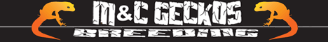 M&C Geckos
