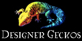 Designer Geckos