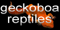 GeckoBoa Reptiles