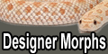 Designer Morphs - Hognose Snakes